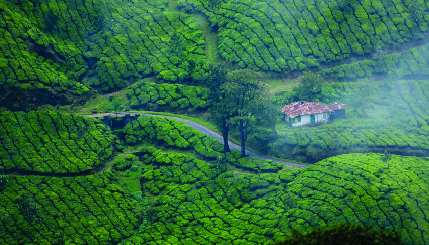 Kerala Honeymoon Package