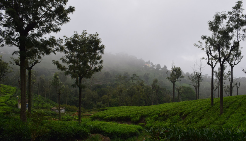 Romantic South India