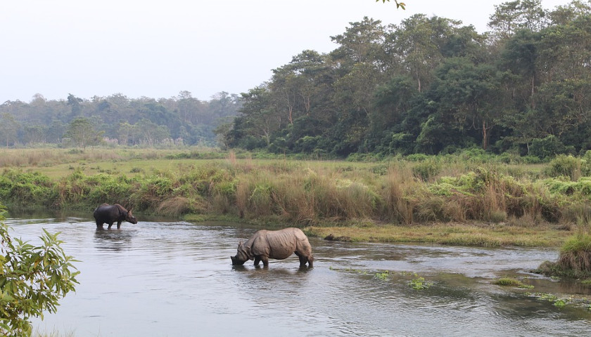 Chitwan-National-Park-Nepal