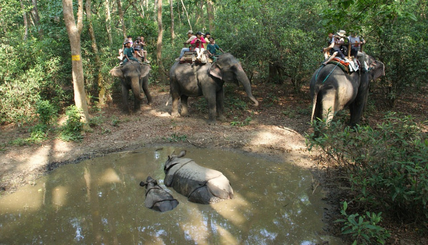 Kathmandu Chitwan Pokhara Tour