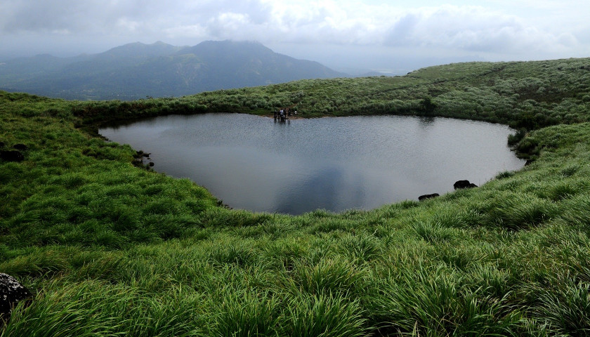 Bandipur National Park Tour With Wayanad