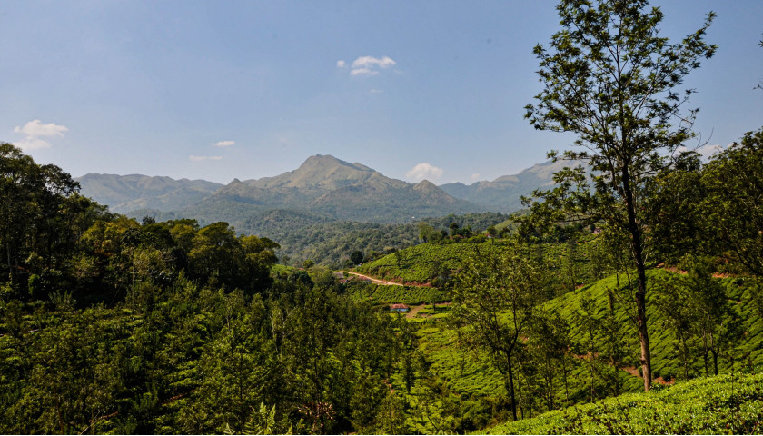 Wayanad-Tours