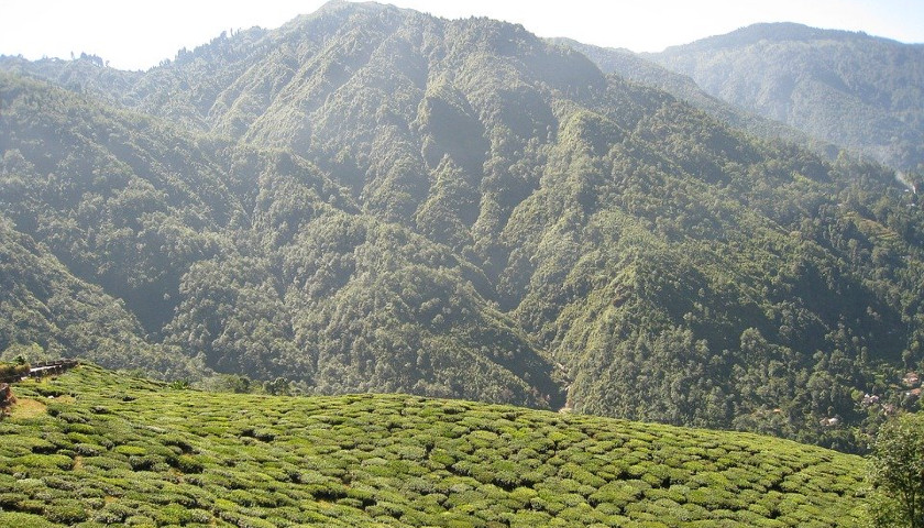 Darjeeling-Tours-India