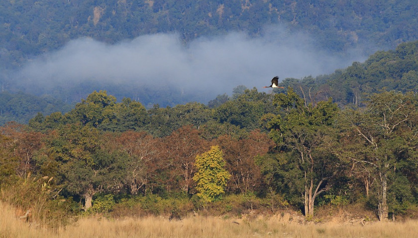 Corbett-National-Park-Tour-Packages-India