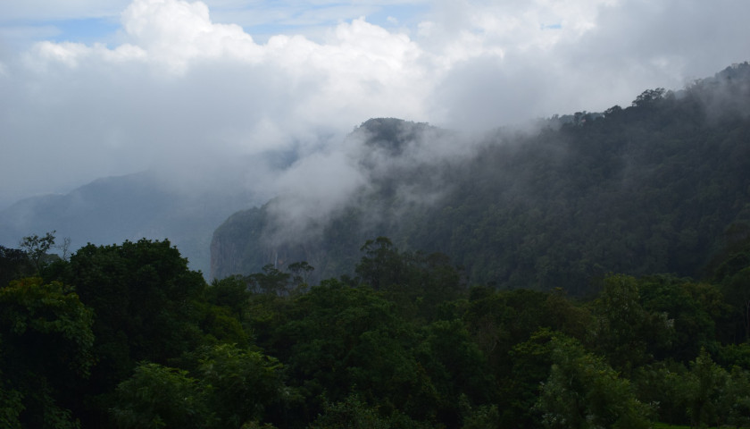 coonoor-dolphin-nose