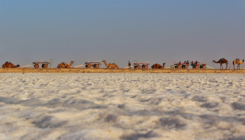 Little-Rann-Of-Kutch-tours-trip