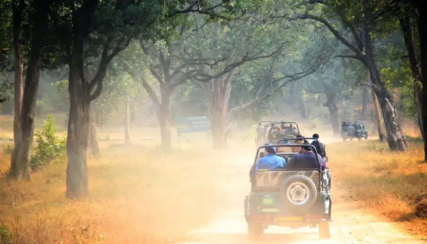 Bandhavgarh Luxury Wildlife Tour Package