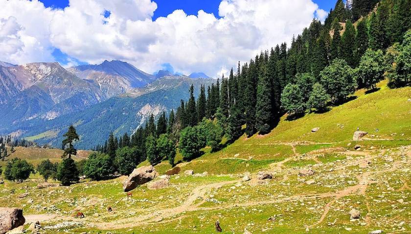 kashmir-tour-package