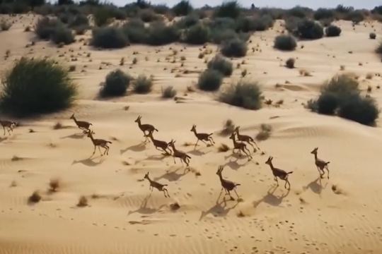 Desert National Park