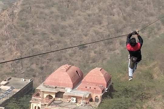 FLYING FOX NEEMRANA