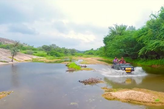 Ranakpur Jungle Safari