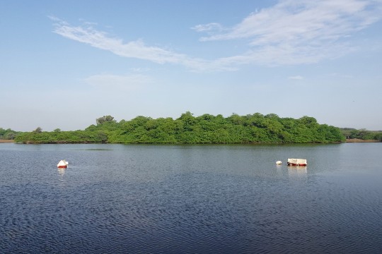 Gajner Lake