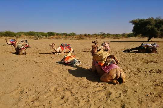 Sam Sand Dunes