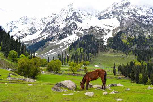 Thajiwas Glacier