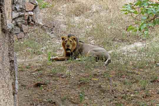 Pania Wildlife Sanctuary