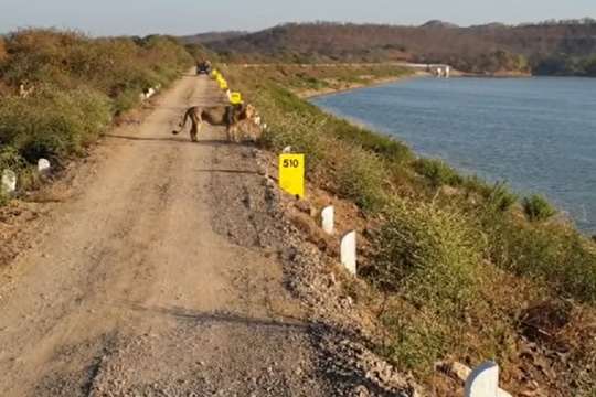 Kamleshwar Dam