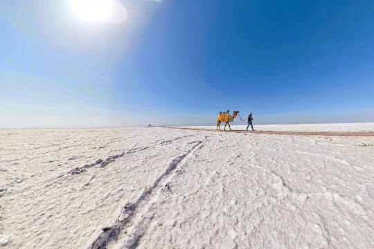 Rann of Kutch