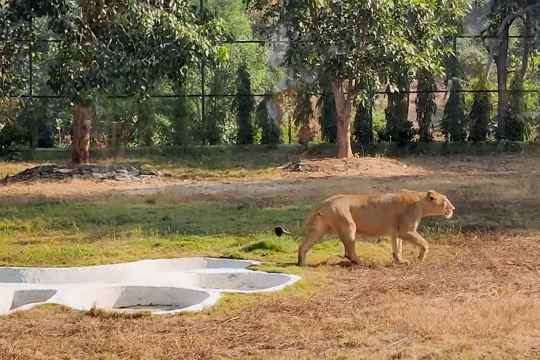 Sardar Patel Zoological Park