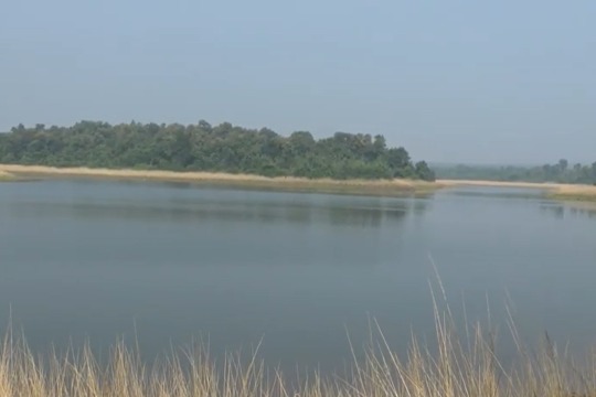 Tadoba Lake