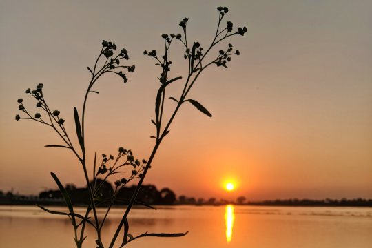 Sirpur Lake