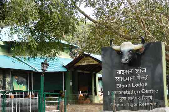 Bison Lodge Museum