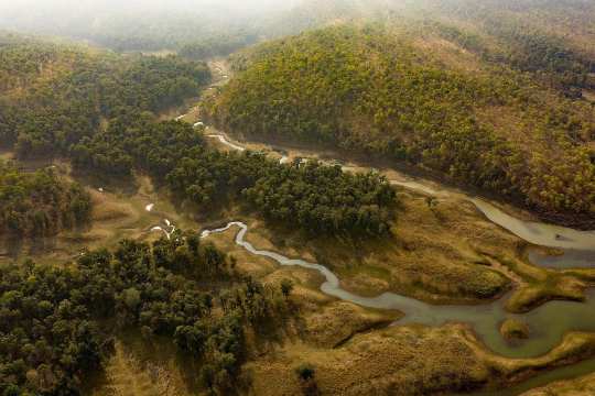 Ratapani Wildlife Sanctuary