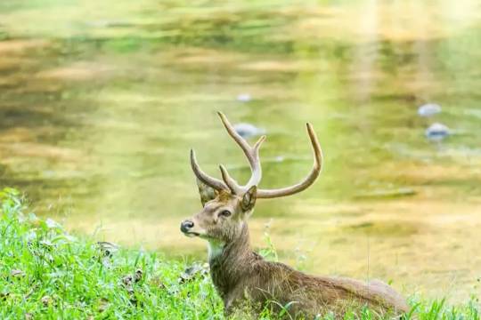 Maenam Wildlife Sanctuary