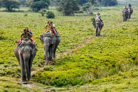 Pobitora Wildlife Sanctuary