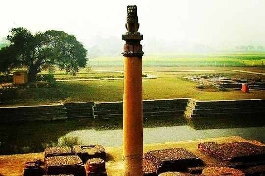 Ashoka Pillar