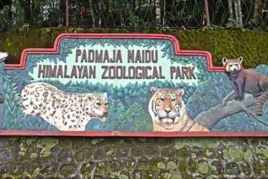 Padmaja Naidu Himalayan Zoological Park & Himalayan Mountaineering Institute