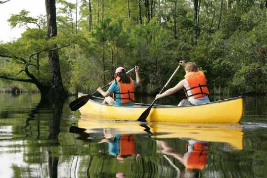 Kayaking In Alleppey