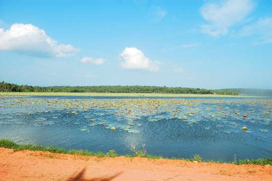 Vellayani Lake