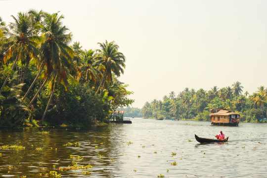 Backwaters in Kozhikode