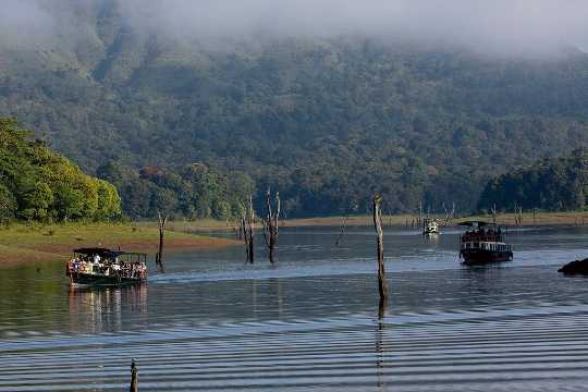 Periyar National Park