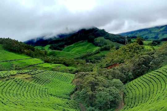 Anamudi Peak