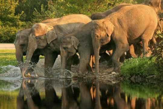 Mudumalai National Park