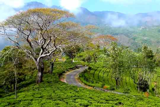 Nilgiri Biosphere Reserve