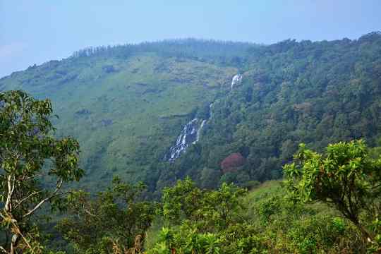 Honey Valley Nilakandi Falls