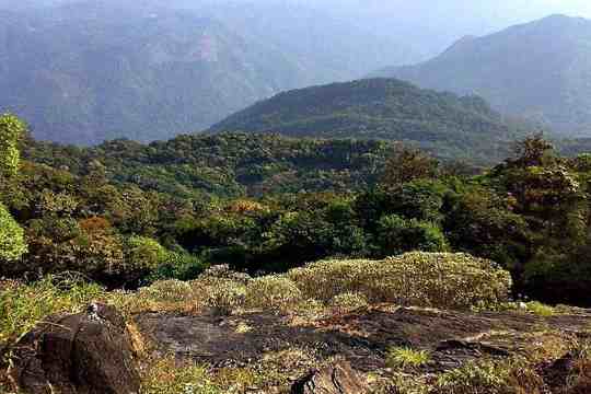 Pushpagiri Wildlife Sanctuary