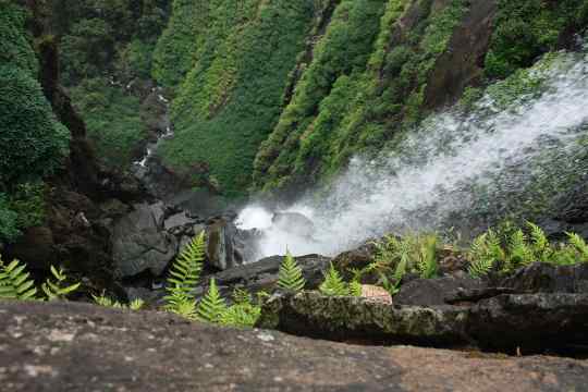 Onake Abbi Falls