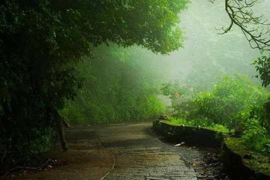 Agumbe