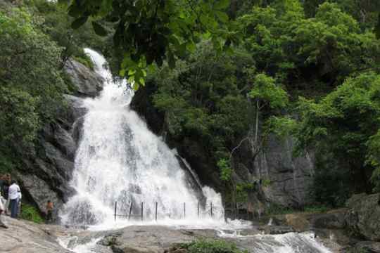 Monkey Falls