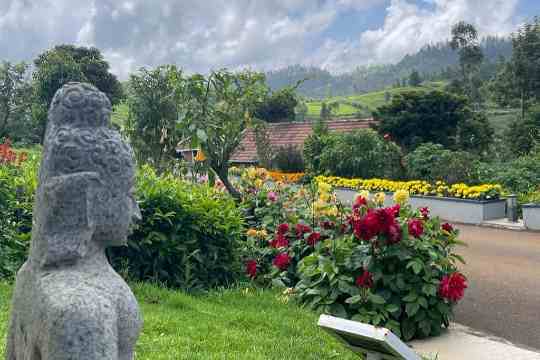 Ooty Botanical Garden