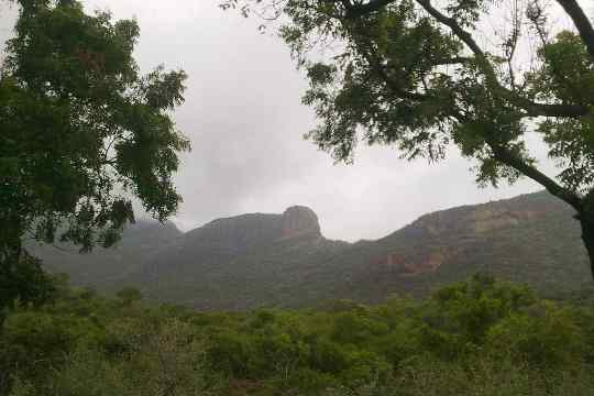 Anaimalai Hills