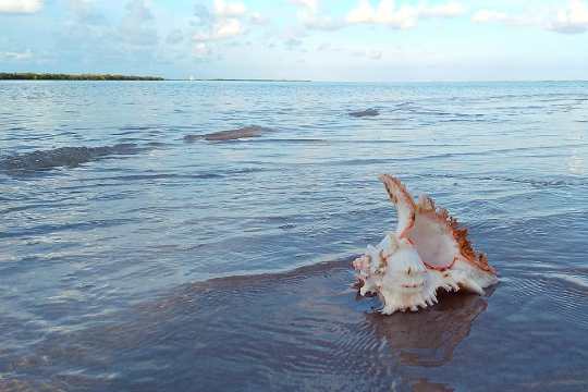 Gulf of Mannar Marine National Park