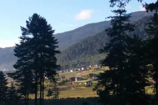 Phobjikha Valley