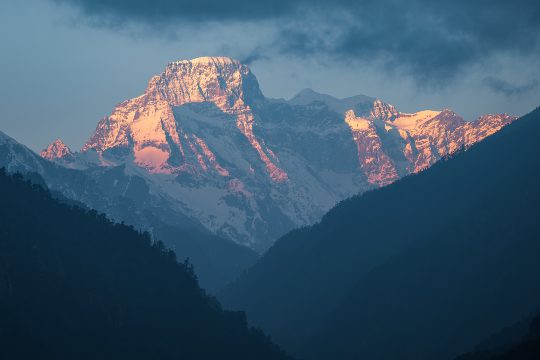 Jigme Dorji National Park